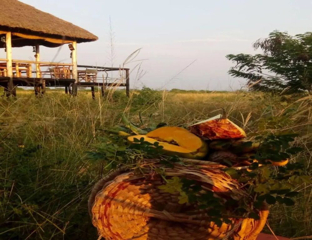 Kazinga Wilderness Safari Camp