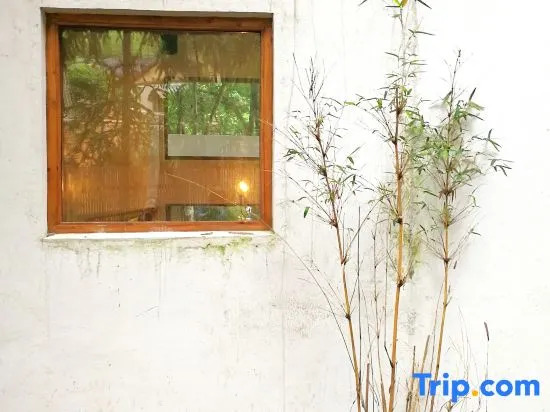 Xipu Boutique Hostel