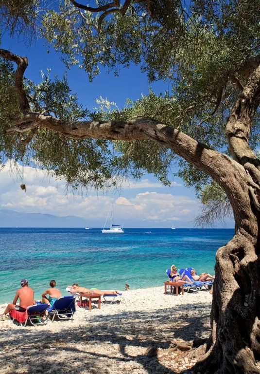 Monodendri Blue in Paxi