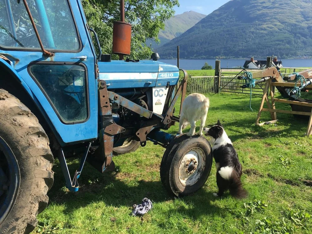 Highland Croft B&B