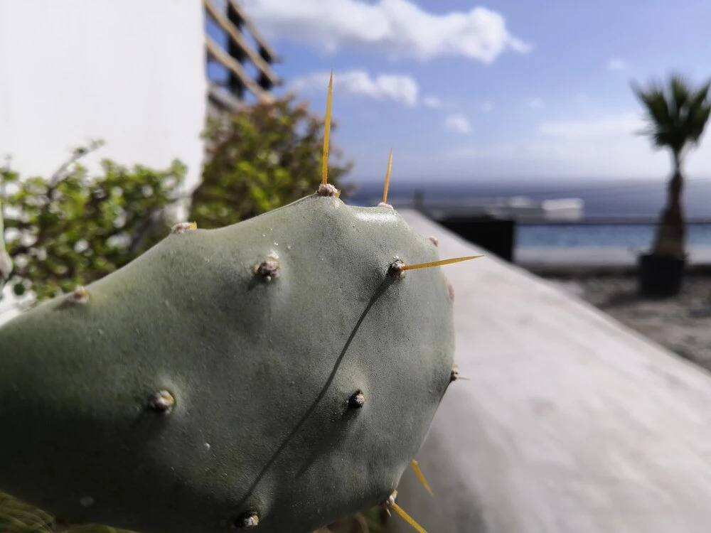 Maregold Mykonos Micro-Boutique Suites, Adults Only