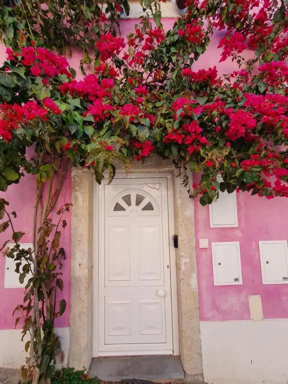 Casa Cor de Rosa