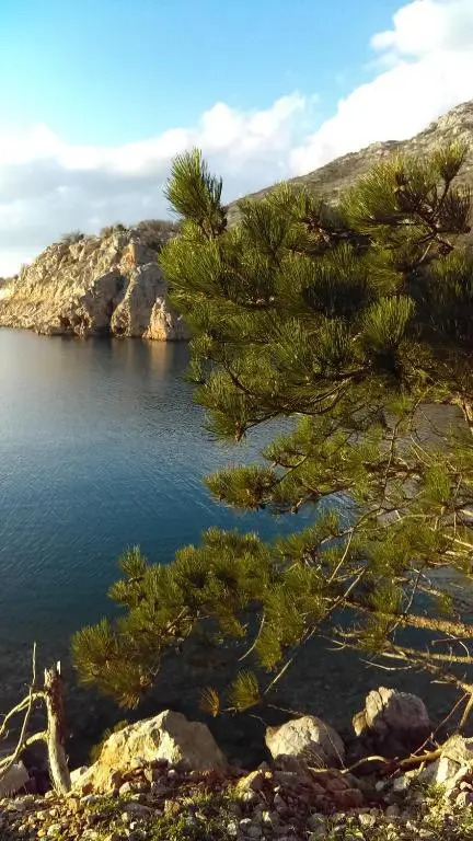 Ruža i Natalija