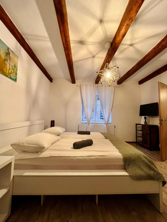 Apartament Turnul Olarilor