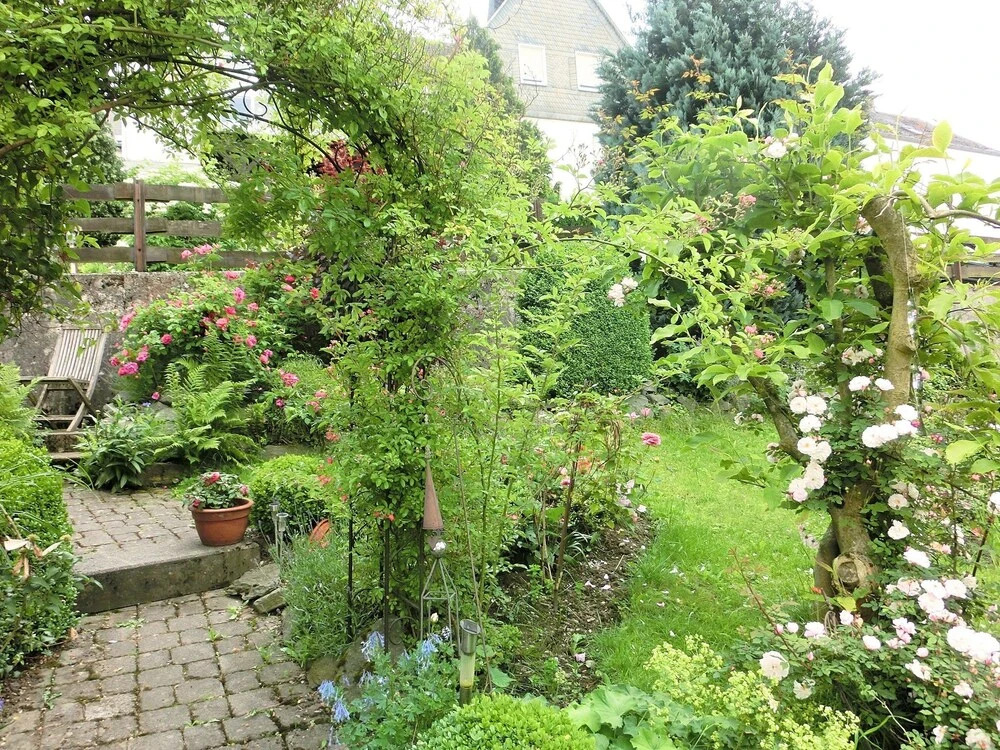 Attractive Holiday Home in the Sauerland Region - Wood Stove and a Terrace