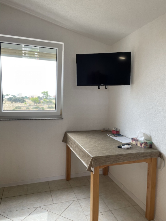 Apartment Vir 3 in Vir