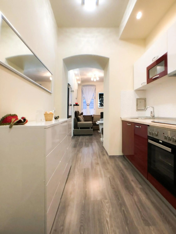 Deluxe Apartment Vienna