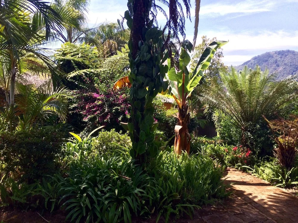 Magoebaskloof Mountain Lodge