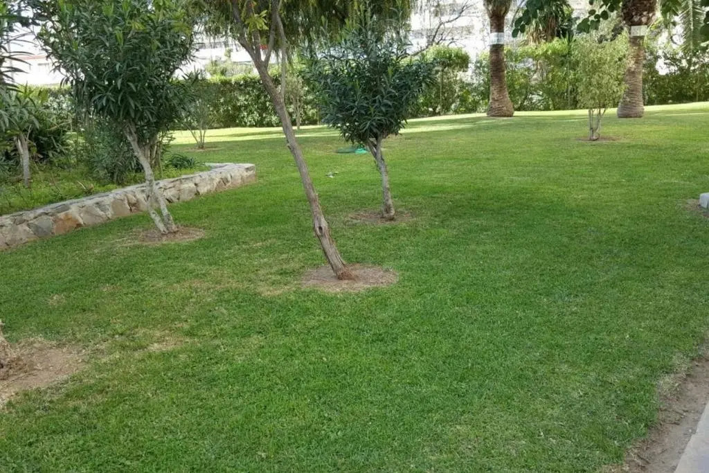 Study Near Malaga And The Beach