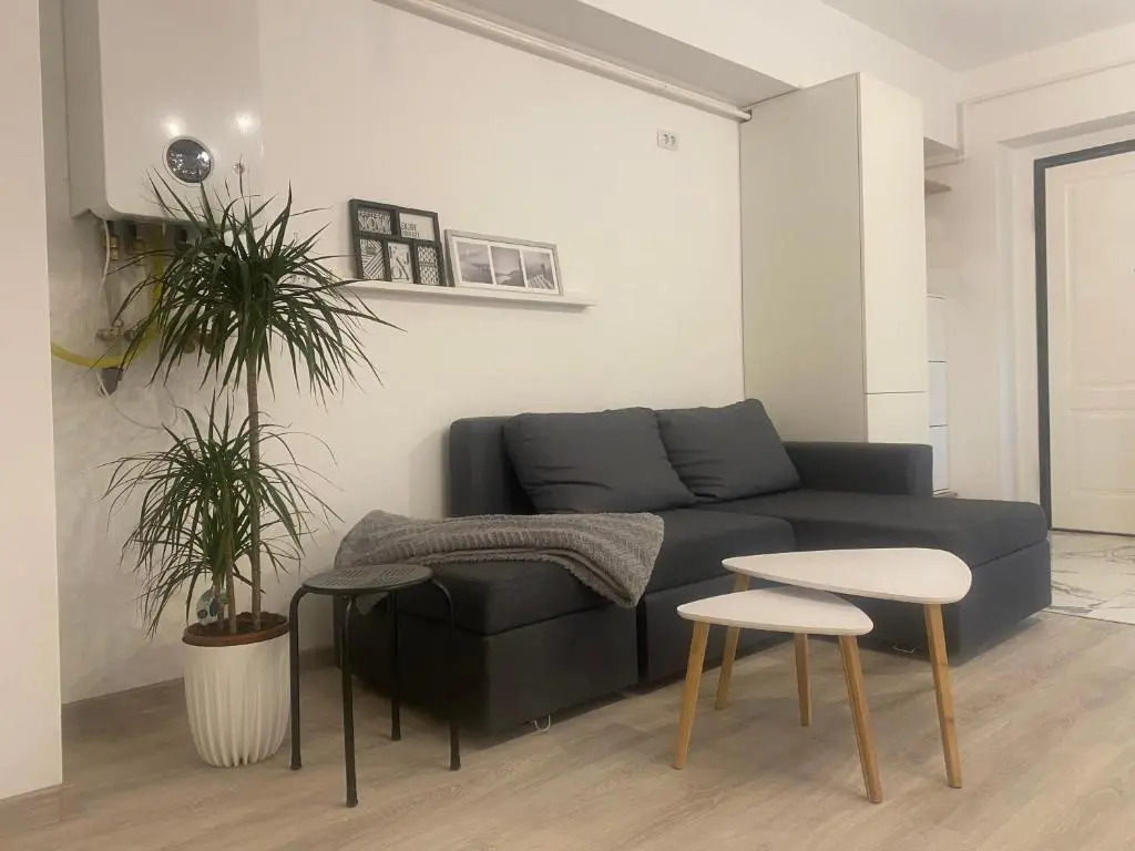 Maia Minimalist Studio