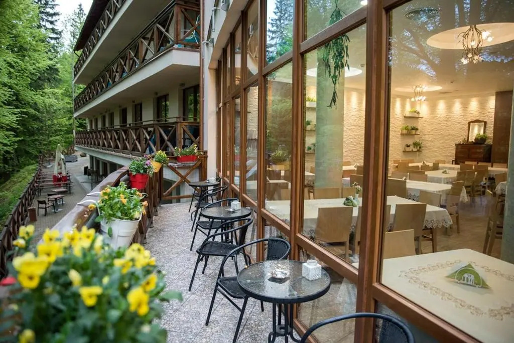 Hotel EUROPA - Górnicza Strzecha