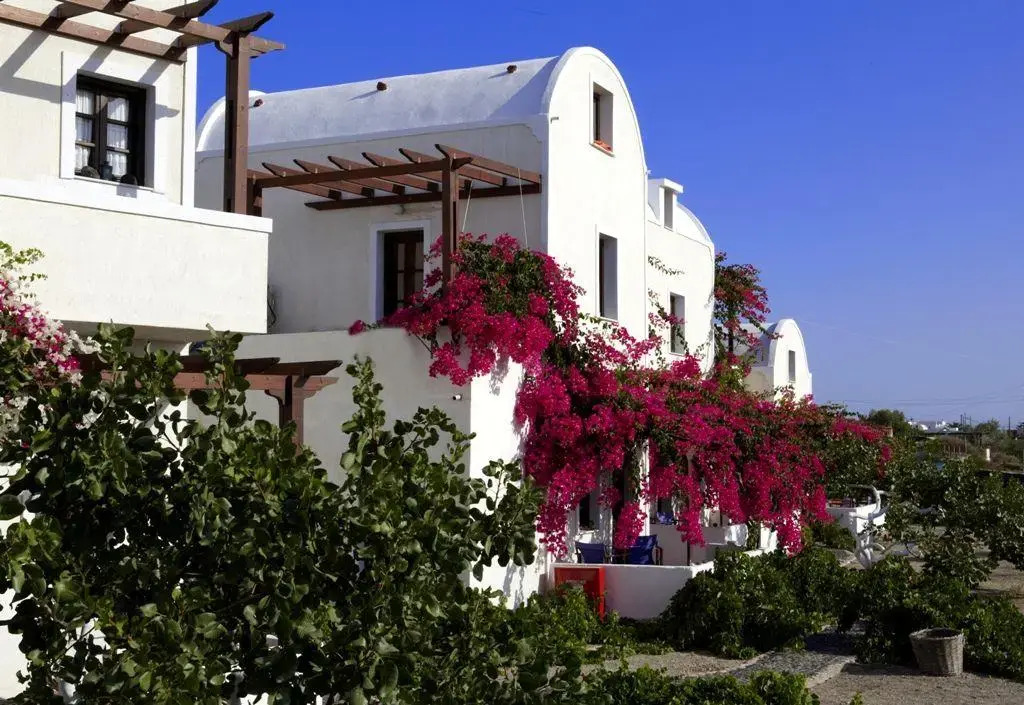 Anna Traditional Apartments