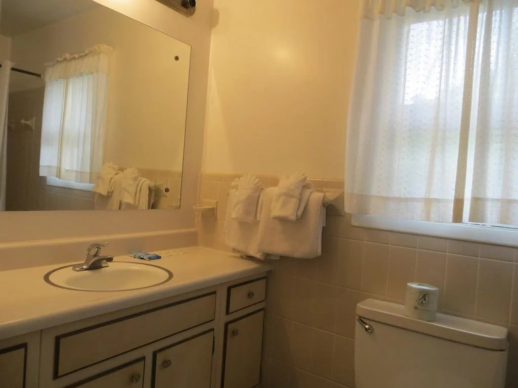 Roaring Fork Motel and Cottages