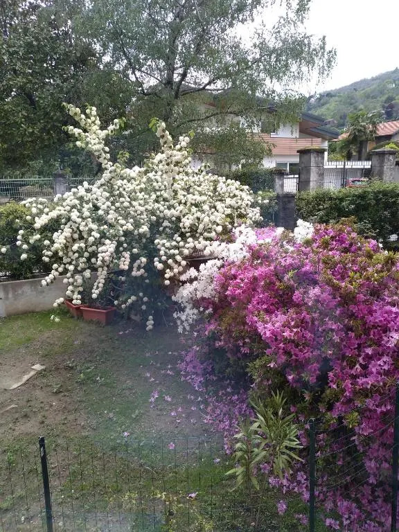 Casa Orisca