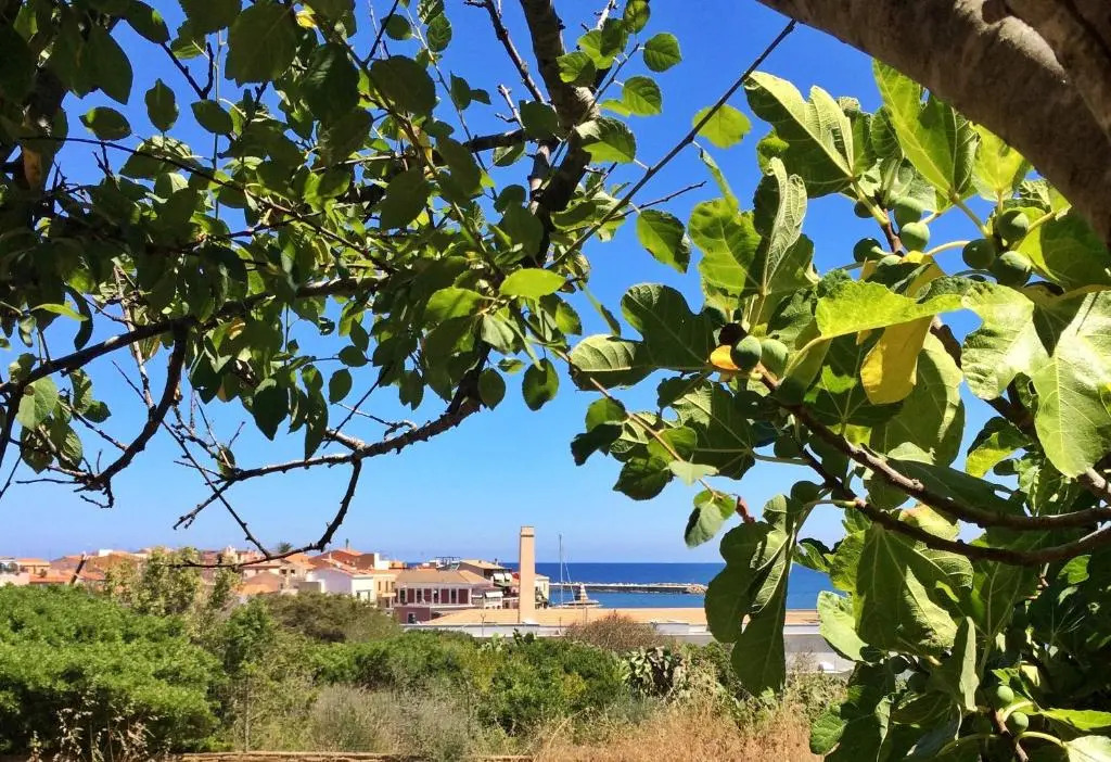 La Lampara