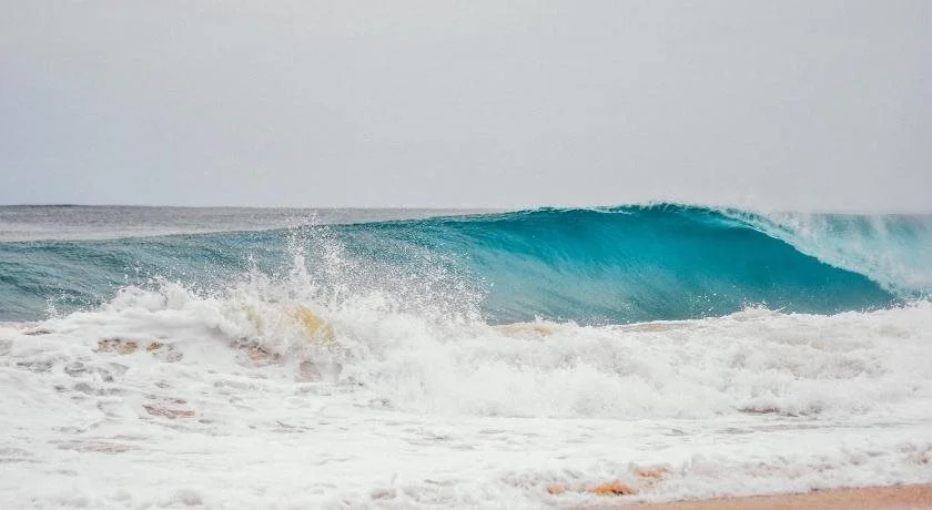 Stay Bocas