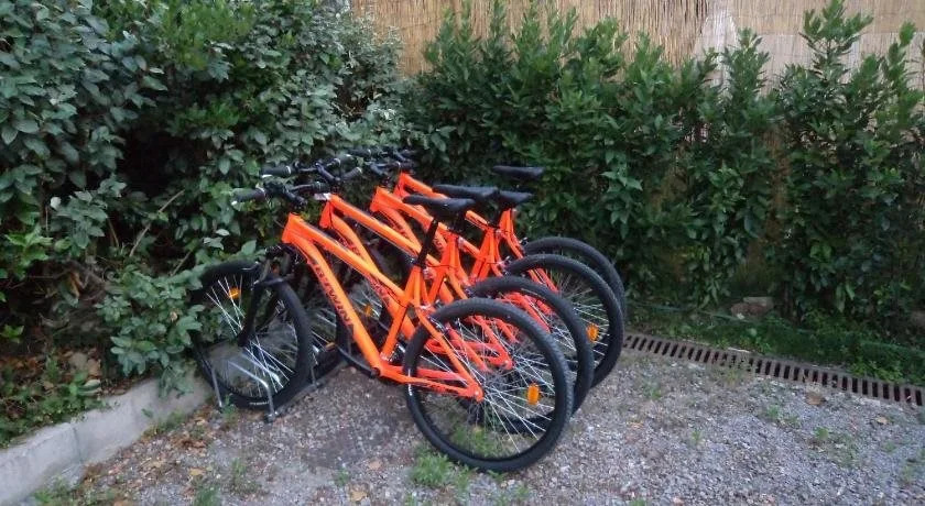 Homelink Poggibonsi - Sogno Doro