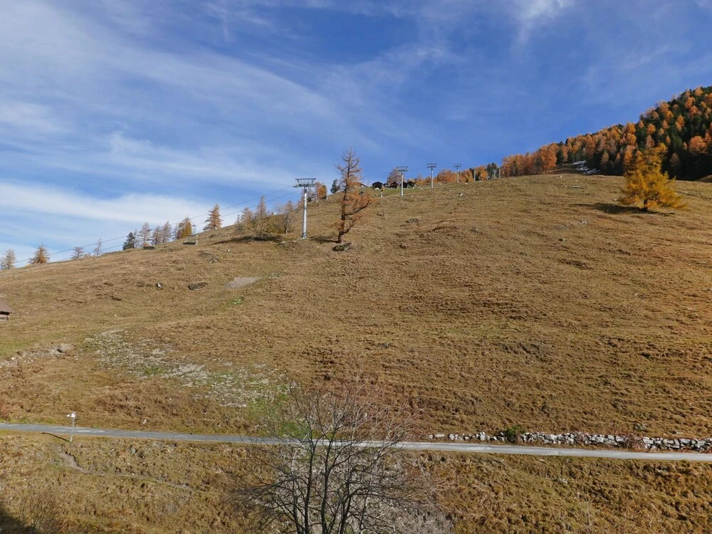 Rosablanche D 204 A Siviez Nendaz
