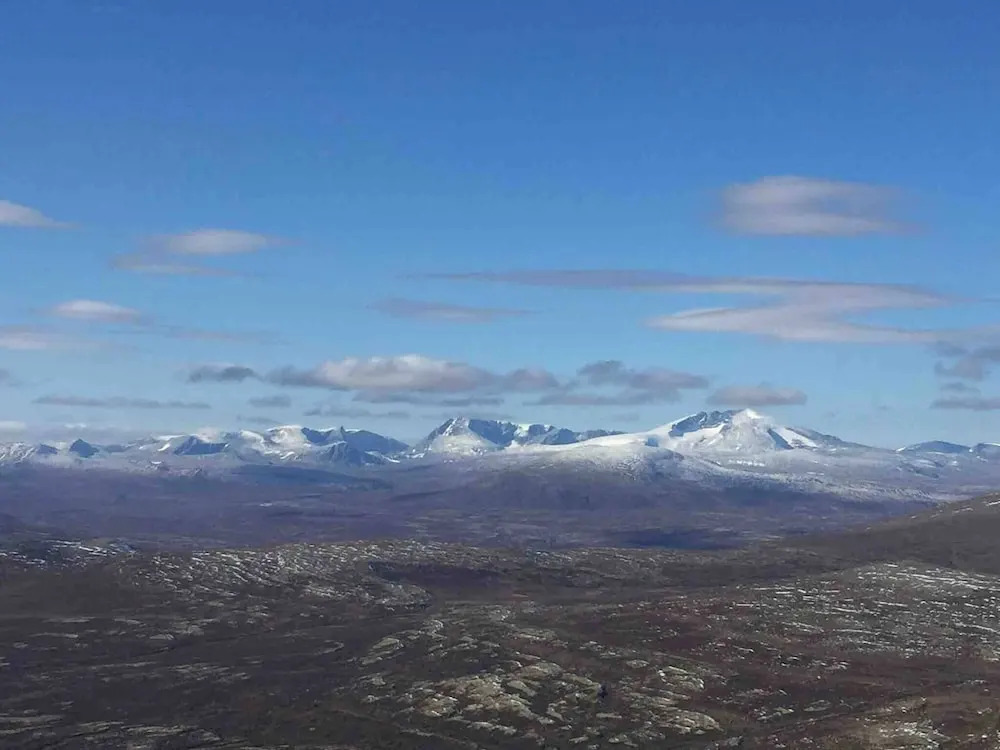 Live in the Realm of the Musk Oxen on Dovrefjell