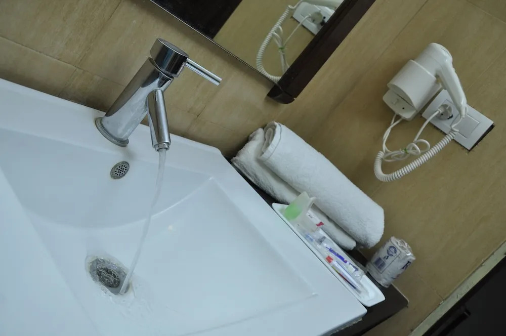 Hotel Shaans