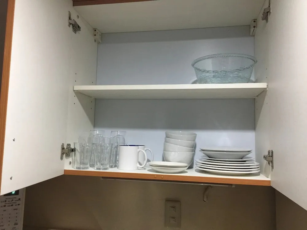 1 Br Robinsons Place Manila - Rpr 09