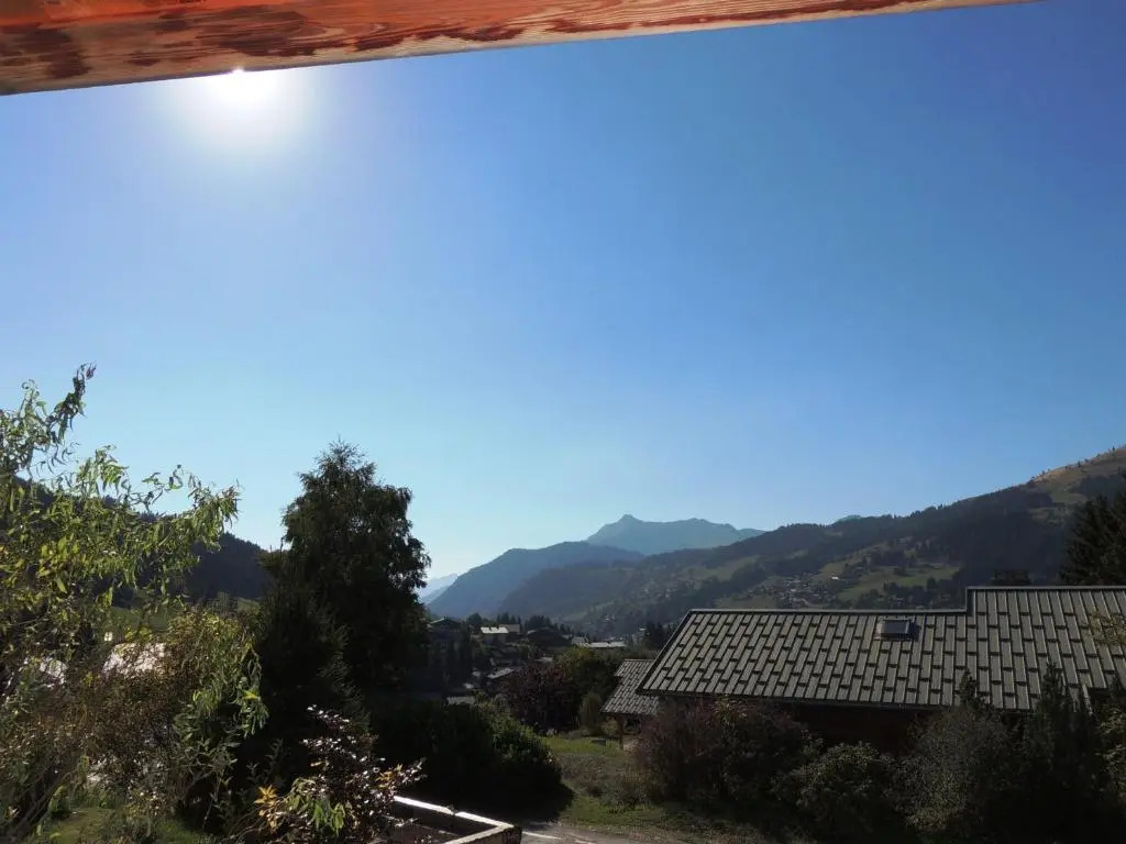 Chalet de prestige, proche des pistes aux Gets - FR-1-598-27