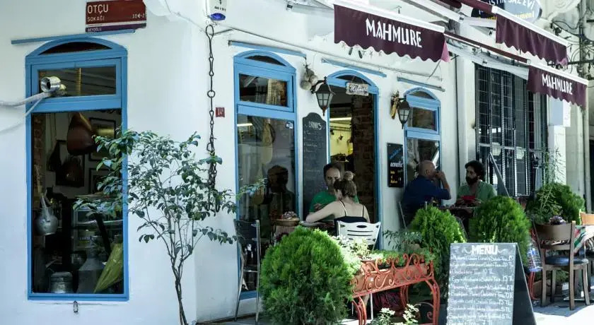 Mahmures House