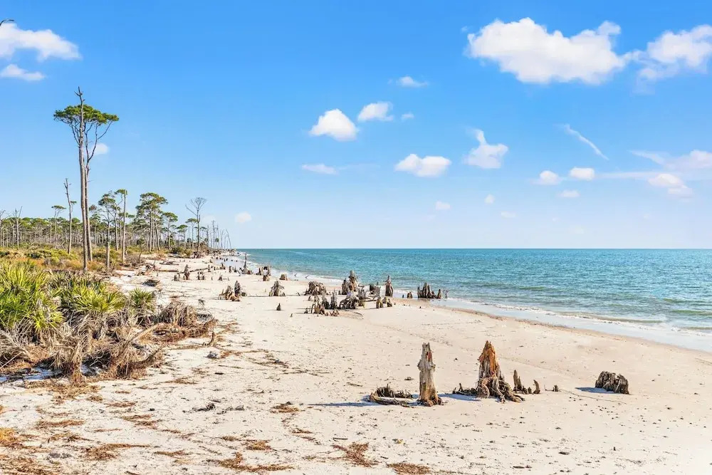 Pet Friendly Beach House - Bella View
