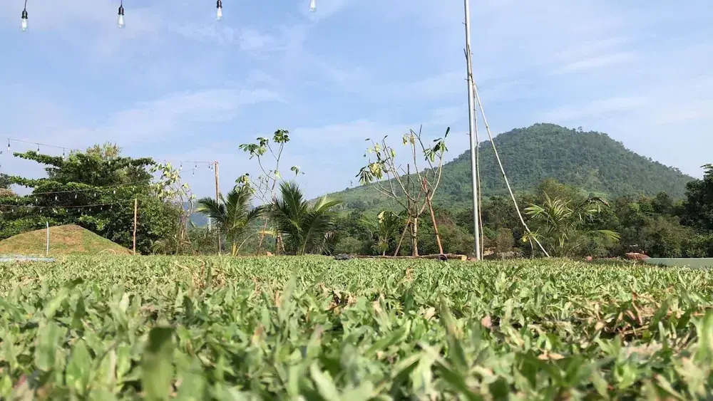 Panorama Mountain Resort