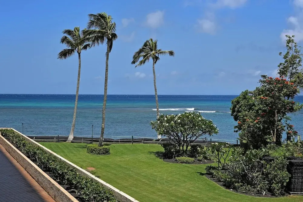 Royal Kahana 317