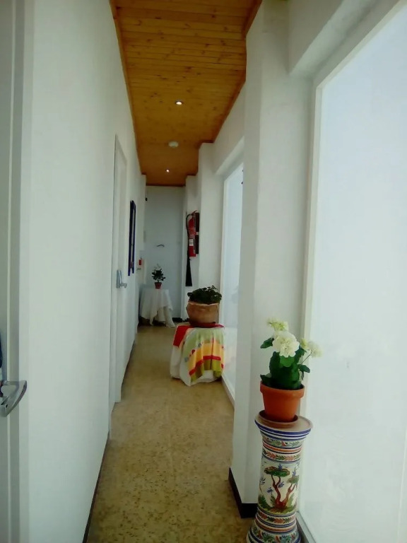 Rocio Rooms