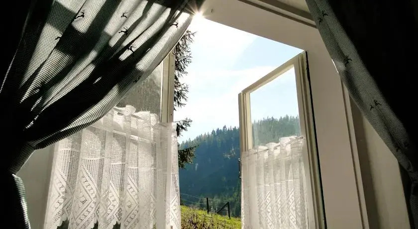 Zinkhaus - Waldheimat Alpl