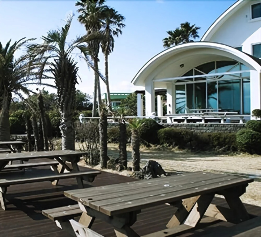 Malzza House - Hostel