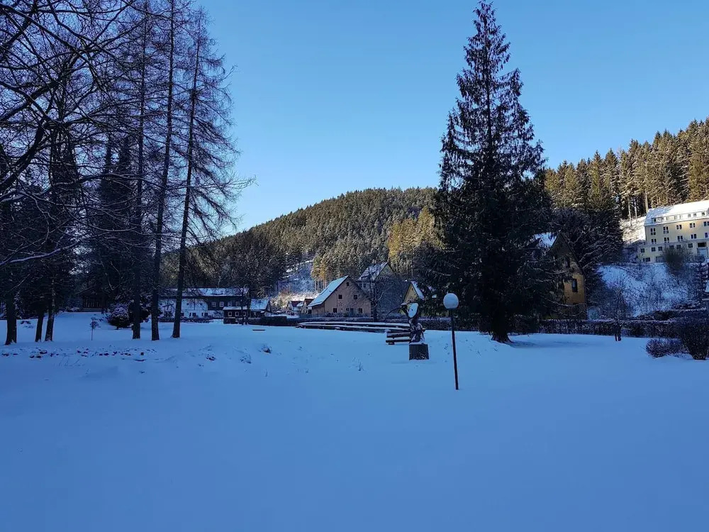 Ferienwohnung im Oberharz in Wildemann