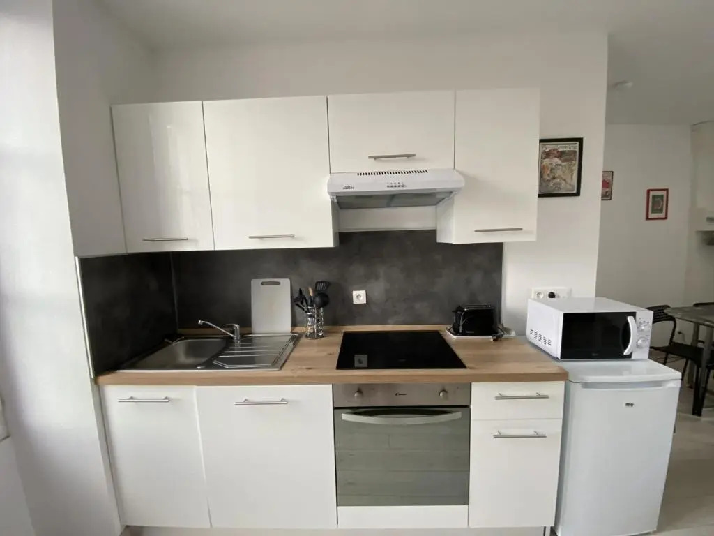 Appartement La Roche-Posay, 1 pièce, 2 personnes - FR-1-541-32