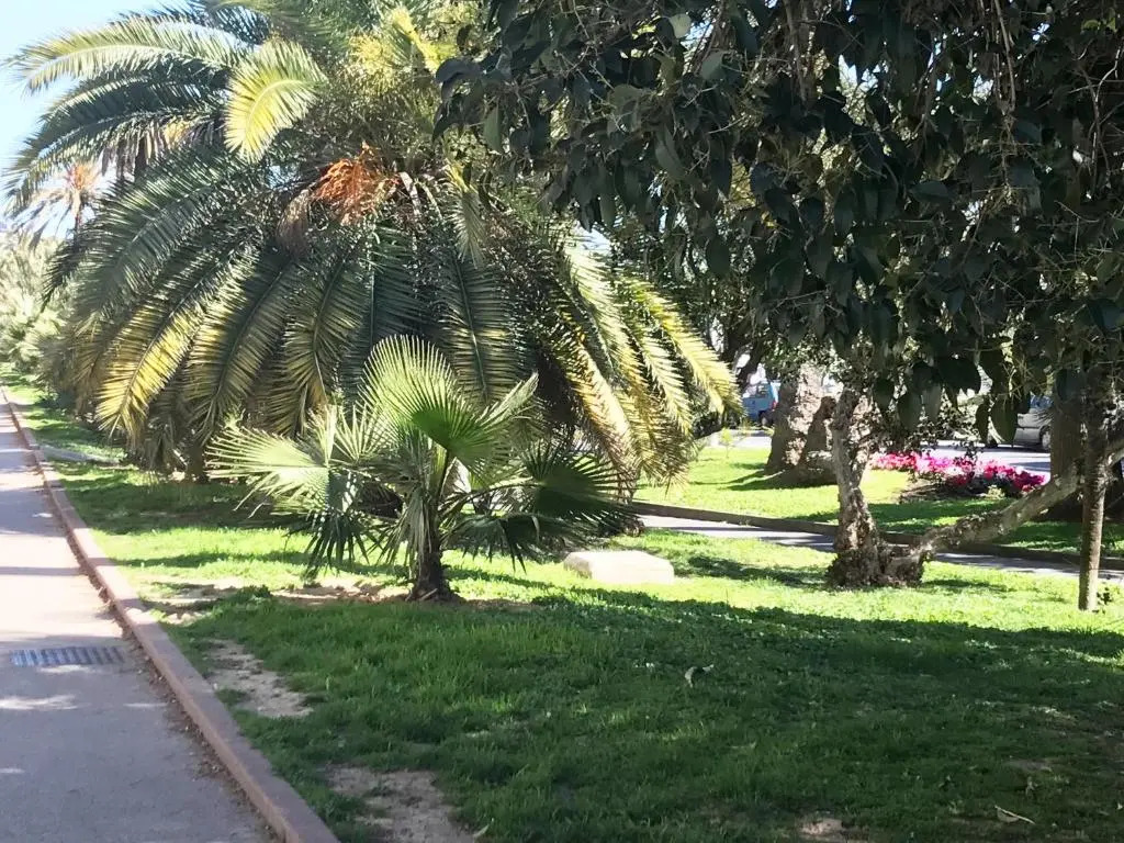 Sanremo Home