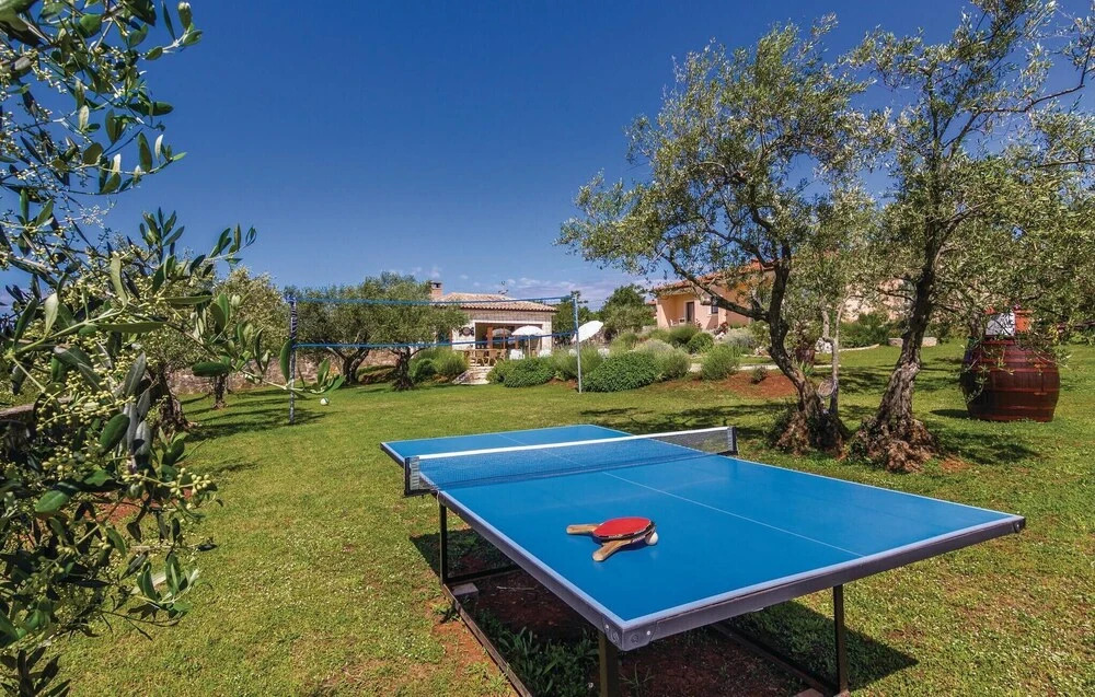 Luxurious Home In Buje