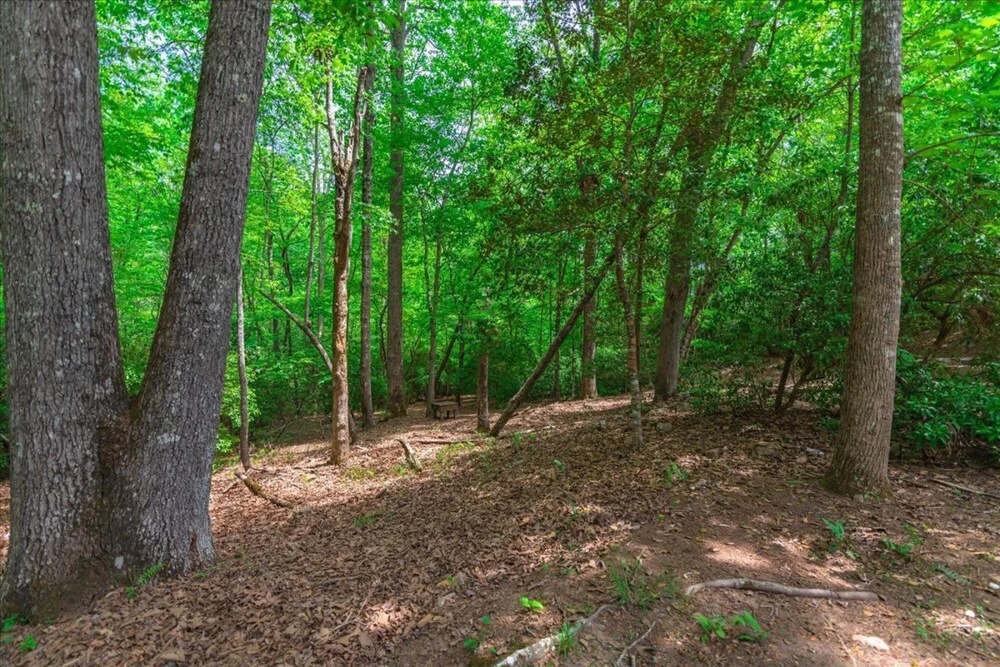 Elliotts Hideaway Adorable Cabin Fire pit hot tub Deck pet Friendly Wifi