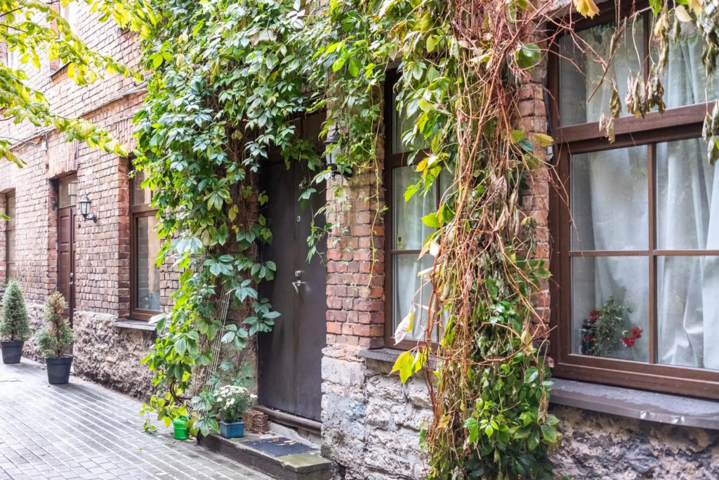 Dream Stay - Bright 2-Bedroom 2-Floor Old Town Apartment