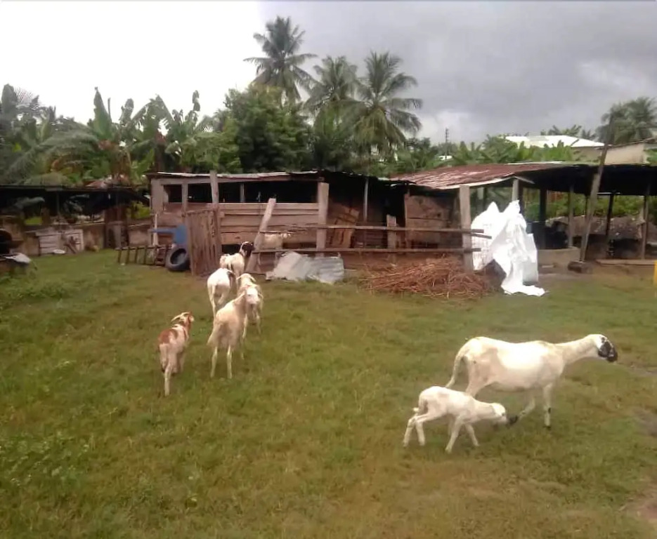 Aeonex Farms
