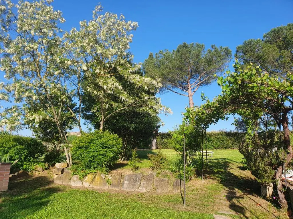 DAGO Farmhouse