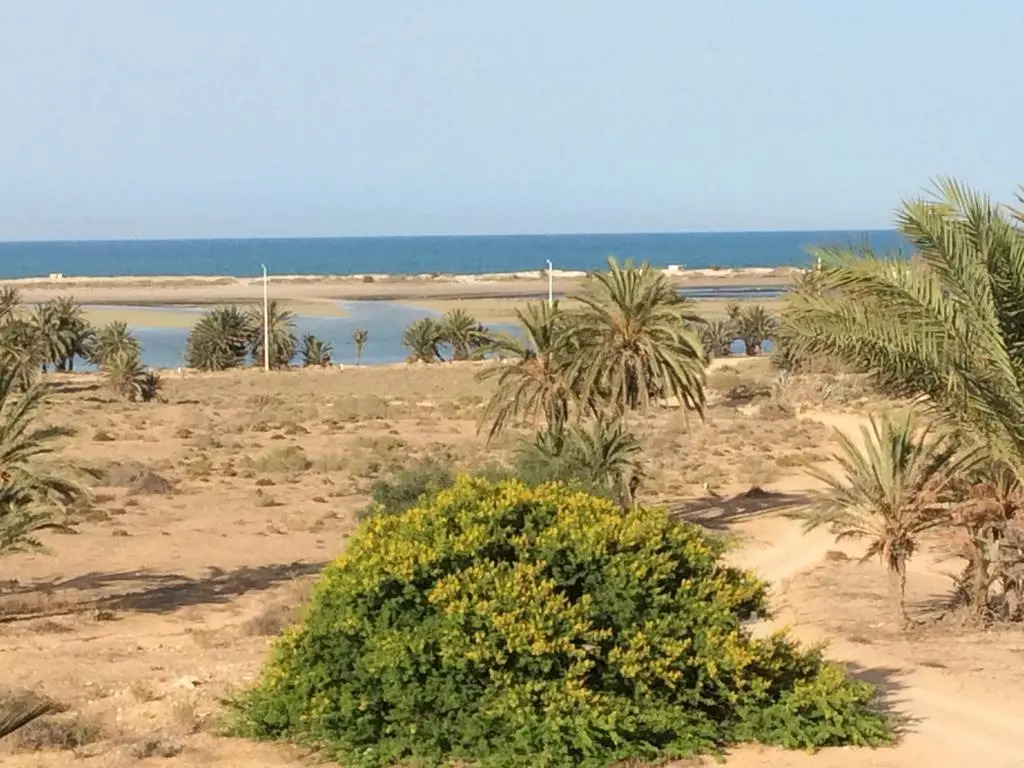 Dar Jasmin Djerba