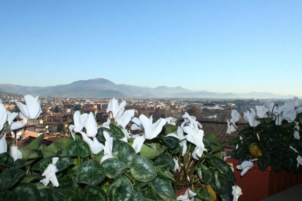 Casa Vacanza Fontana Del Delfino