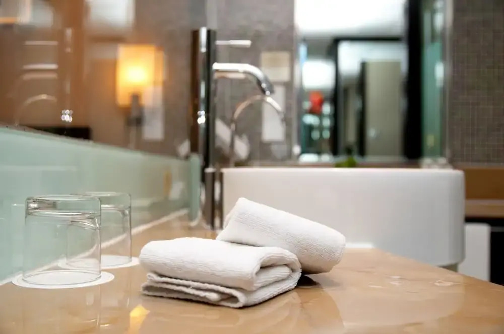 Hotel Domus Expo
