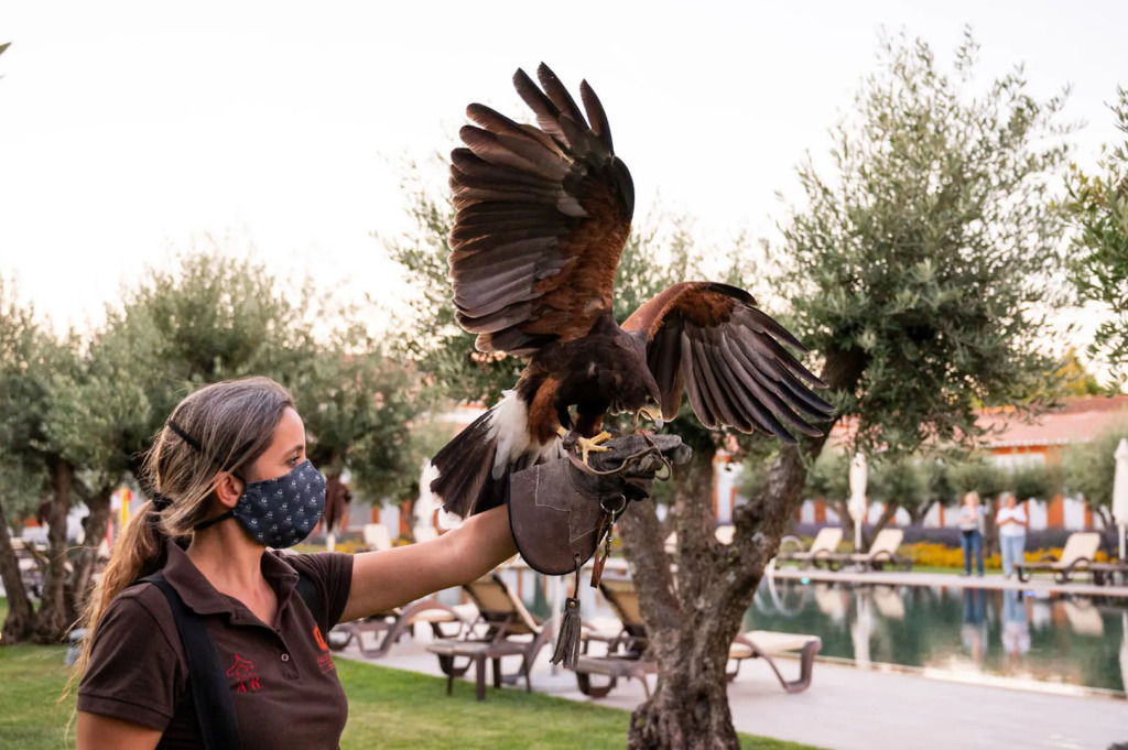 Vila Gale Collection Alter Real - Resort Equestre, Conference & Spa