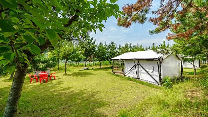 seocheon paintree glamping