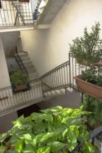 Primo Piano Riccio Locazione Turistica