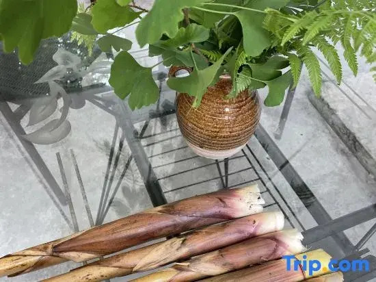 Qingcheng Mountain Yujian Forest Private Soup Homestay