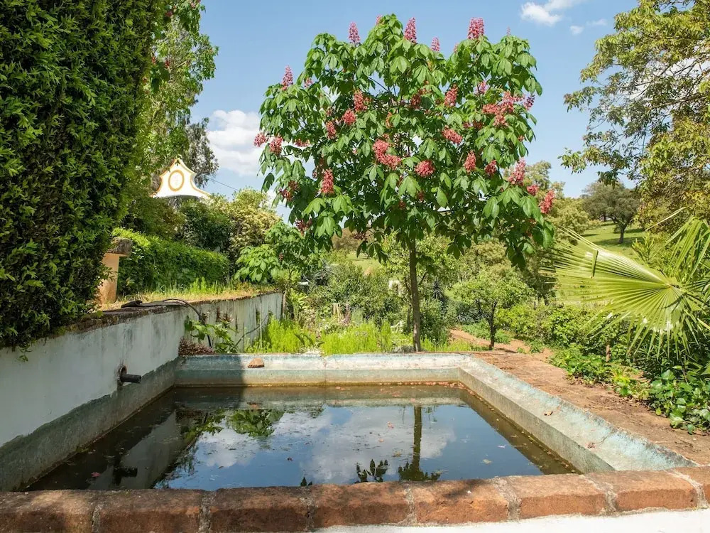 Rustic Alentejo Farmhouse With Pool
