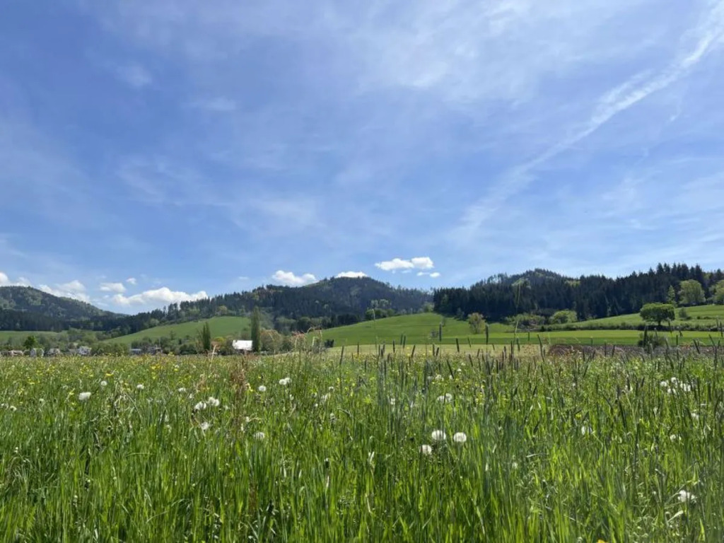 Schluchsee